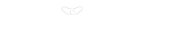 BizzThemes