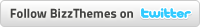 Follow BizzThemes on Twitter