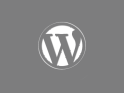 Wordpress Platform